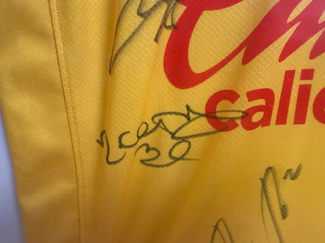 Primera equipación del Club América 2024/25, detalle