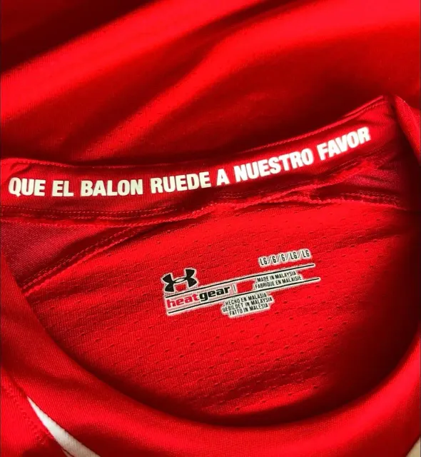 Primera equipación del Deportivo Toluca FC 2011/12, detalle